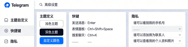 Telegram电脑版高级设置菜单，展示主题自定义、快捷键和隐私选项